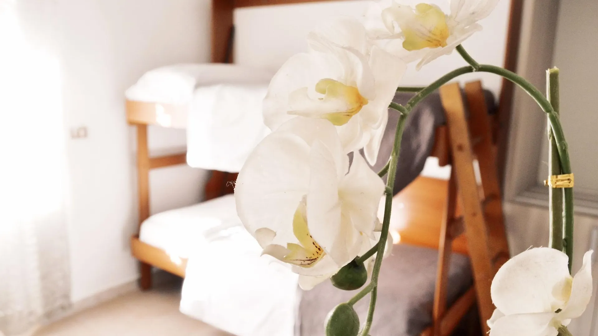 ***  Hotel Colombo Naples Italy