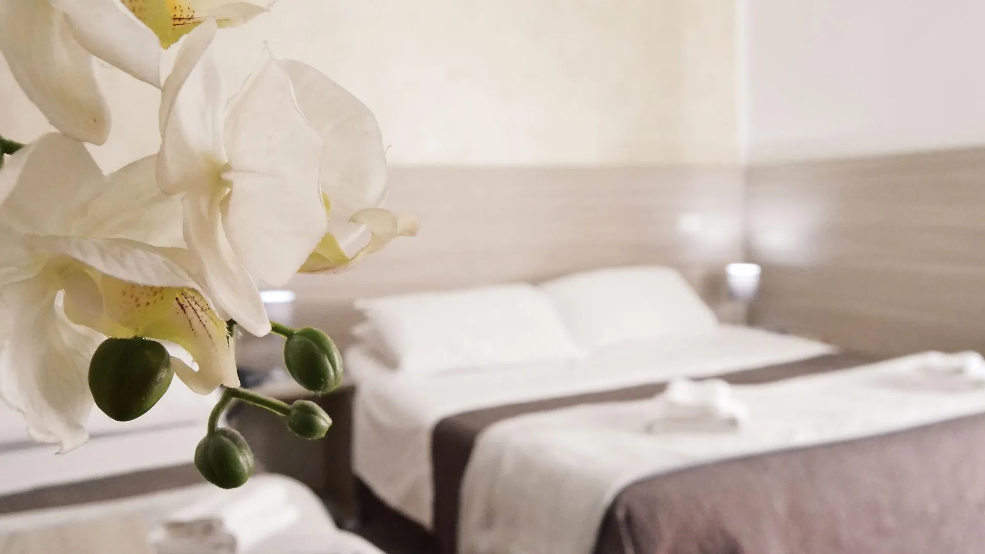 Hotel Colombo Naples